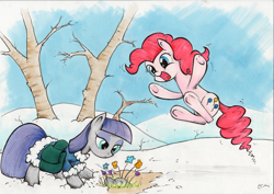 Size: 2000x1414 | Tagged: safe, artist:ecmonkey, maud pie, pinkie pie, earth pony, pony, flower, jumping, saddle bag, snow, spring, traditional art, underhoof