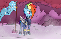 Size: 2500x1600 | Tagged: safe, artist:dualtry, derpibooru import, rainbow dash, pegasus, pony, canon, crystal empire, explorer, fantasy class, female, flag, mare, snow, warrior