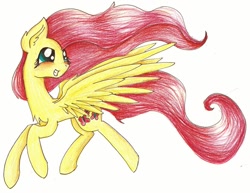 Size: 1024x790 | Tagged: safe, artist:mufflinka, fluttershy, pegasus, pony, female, mare, solo, traditional art