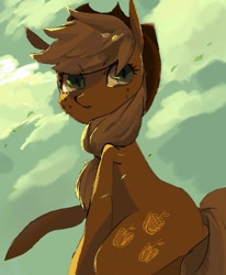 Size: 565x686 | Tagged: safe, artist:eichiru, applejack, earth pony, pony, female, mare, pixiv, solo