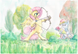 Size: 2000x1383 | Tagged: safe, artist:mandumustbasukanemen, derpibooru import, fluttershy, rainbow dash, pegasus, pony, archery, atg 2019, bow (weapon), duo, newbie artist training grounds, traditional art