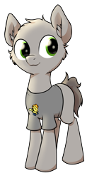 Size: 1264x2152 | Tagged: safe, artist:wenni, derpibooru exclusive, derpibooru import, spitfire, oc, oc only, oc:dim, earth pony, pony, 2020 community collab, clothes, derpibooru community collaboration, fluffy, male, shirt, simple background, solo, stallion, transparent background