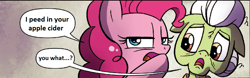 Size: 1221x382 | Tagged: safe, edit, idw, granny smith, pinkie pie, earth pony, pony, revenge, she had it coming, vulgar