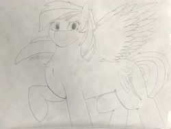 Size: 4032x3024 | Tagged: safe, artist:astrum, derpibooru import, rainbow dash, pegasus, pony, chest fluff, female, flowing mane, monochrome, raised hoof, smiling, smirk, solo, spread wings, traditional art, wings