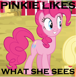 Size: 460x466 | Tagged: safe, pinkie pie, earth pony, pony, eyes on the prize, image macro, meme, stare