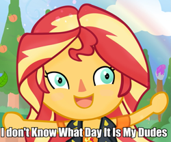 Size: 945x788 | Tagged: safe, artist:invisibleink, sunset shimmer, equestria girls, animal crossing, caption, chibi, clothes, image macro, lockdown, meme, paintbrush, painting, solo, text