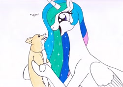 Size: 3488x2471 | Tagged: safe, artist:killerteddybear94, princess celestia, alicorn, dog, pony, corgi, cute, cutelestia, female, happy, holding, open mouth, squee, traditional art