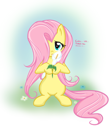 Size: 965x1119 | Tagged: safe, artist:bamboodog, fluttershy, pegasus, pony, female, flower, mare, solo