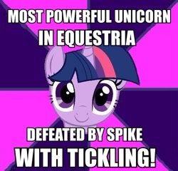 Size: 500x479 | Tagged: safe, derpibooru import, twilight sparkle, twilight sparkle (alicorn), alicorn, pony, female, image macro, mare, meme, solo, tickling