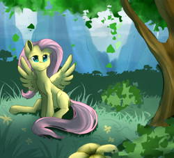 Size: 3300x3000 | Tagged: safe, artist:mimkage, fluttershy, pegasus, pony, forest, sitting, solo, spread wings