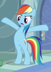 Size: 514x715 | Tagged: safe, derpibooru import, edit, edited screencap, screencap, rainbow dash, pegasus, pony, tanks for the memories, /mlp/, belly button, bipedal, cropped, solo, standing