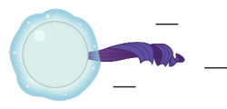 Size: 375x180 | Tagged: safe, artist:mega-poneo, rarity, pony, unicorn, ball, crossover, female, levitation, magic, mare, meme, motion lines, rariball, rolling, self-levitation, simple background, solo, sonic the hedgehog (series), spin dash, telekinesis, transparent background