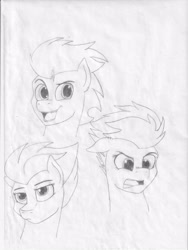 Size: 2552x3388 | Tagged: safe, artist:astrum, derpibooru import, fleetfoot, soarin', spitfire, pegasus, pony, bored, bust, disgusted, dreamworks face, expressions, female, floppy ears, frown, grimace, head down, lidded eyes, lineart, looking down, looking up, male, monochrome, open mouth, smiling, traditional art, wonderbolts