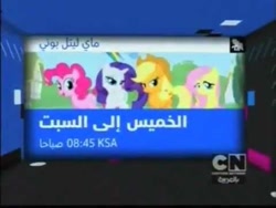 Size: 480x360 | Tagged: safe, screencap, applejack, fluttershy, pinkie pie, rarity, earth pony, pegasus, pony, unicorn, arabic, cartoon network, saudi arabia