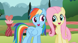 Size: 1099x613 | Tagged: safe, derpibooru import, edit, edited screencap, screencap, fluttershy, rainbow dash, pegasus, pony, may the best pet win, faic, female, fix, mare