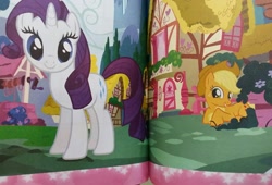 Size: 1895x1290 | Tagged: safe, applejack, rarity, earth pony, pony, unicorn, book, merchandise, official