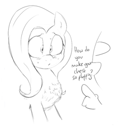 Size: 530x570 | Tagged: safe, artist:shoutingisfun, fluttershy, oc, oc:anon, pegasus, pony, chest fluff, cute, dialogue, female, fluffy, mare, monochrome, shyabetes