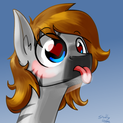 Size: 1000x1000 | Tagged: safe, artist:studlyhorn, derpibooru import, oc, oc only, oc:kouprisa, earth pony, pony, zebra, :p, against glass, blushing, bust, cute, drool, fourth wall, glass, heart eyes, licking, male, portrait, solo, tongue out, wingding eyes