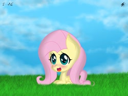 Size: 2048x1536 | Tagged: artist needed, safe, fluttershy, pegasus, pony, female, mare, solo, wat