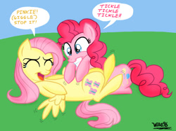 Size: 1071x800 | Tagged: safe, artist:willisninety-six, fluttershy, pinkie pie, earth pony, pegasus, pony, female, flutterpie, lesbian, shipping, tickling