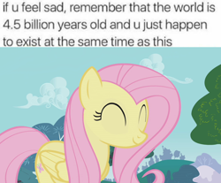 Size: 960x796 | Tagged: safe, screencap, fluttershy, pegasus, pony, cute, image macro, meme, text