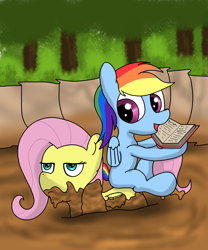 Size: 2000x2400 | Tagged: safe, artist:amateur-draw, derpibooru import, fluttershy, rainbow dash, pegasus, pony, awkward, bog, book, female, flutterseat, fluttershy is not amused, mare, mud, mud bath, mud pony, muddy, not happy, ponies riding ponies, quicksand, riding, sinking, unamused, wet and messy
