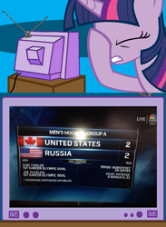 Size: 563x771 | Tagged: safe, derpibooru import, twilight sparkle, canada, exploitable meme, facehoof, fail, flag, meme, obligatory pony, russia, tv meme, united states, you had one job