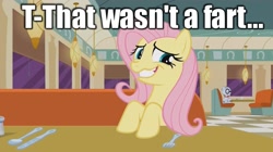 Size: 1474x826 | Tagged: safe, edit, edited screencap, screencap, fluttershy, mr. waddle, pegasus, pony, the saddle row review, caption, female, implied shart, mare, restaurant