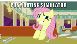 Size: 2001x1163 | Tagged: safe, edit, edited screencap, screencap, fluttershy, mr. waddle, pegasus, pony, the saddle row review, image macro, meme, solo focus