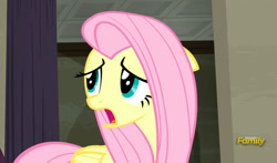 Size: 795x469 | Tagged: safe, screencap, fluttershy, pegasus, pony, the saddle row review, discovery family logo, sad