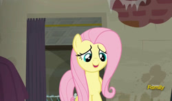 Size: 795x469 | Tagged: safe, screencap, fluttershy, pegasus, pony, the saddle row review, discovery family logo, female, mare