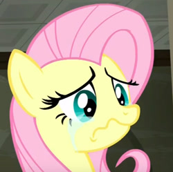 Size: 406x404 | Tagged: safe, screencap, fluttershy, pegasus, pony, the saddle row review, crying, sad