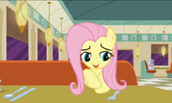 Size: 795x477 | Tagged: safe, screencap, fluttershy, mr. waddle, pegasus, pony, the saddle row review, female, mare