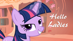 Size: 1280x720 | Tagged: safe, derpibooru import, twilight sparkle, caption, image macro, meme, solo