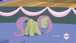 Size: 1100x618 | Tagged: safe, screencap, fluttershy, pegasus, pony, filli vanilli, all new, female, hub logo, mare, plot