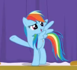 Size: 343x313 | Tagged: safe, derpibooru import, screencap, rainbow dash, pegasus, pony, grannies gone wild, best pony, curtain, cute, dashabetes, female, mare, raised hoof, solo