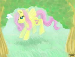 Size: 1600x1200 | Tagged: safe, artist:telimbo, fluttershy, pegasus, pony, female, mare, pink mane, solo, yellow coat