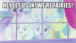 Size: 1055x594 | Tagged: safe, derpibooru import, edit, edited screencap, screencap, amethyst star, lemon hearts, sea swirl, seafoam, sparkler, twinkleshine, pony, unicorn, canterlot boutique, against glass, background pony, background pony audience, bronybait, cotton mint, dude let me in, eyes closed, fairy, glass, image macro, magic, meme, mint julep, smiling, tropical sunrise, window