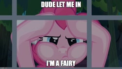Size: 884x499 | Tagged: safe, derpibooru import, edit, edited screencap, screencap, pinkie pie, earth pony, pony, daring done?, against glass, dude let me in, fairy, glass, image macro, meme, solo, text