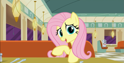 Size: 893x458 | Tagged: safe, screencap, fluttershy, mr. waddle, pegasus, pony, the saddle row review, big eyes, solo