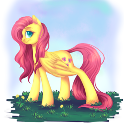 Size: 1024x1024 | Tagged: safe, artist:sannykat, fluttershy, pegasus, pony, female, looking at you, mare, smiling, solo