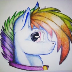 Size: 640x640 | Tagged: safe, artist:lounki, derpibooru import, rainbow dash, pegasus, pony, female, head, looking back, mare