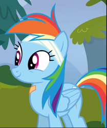 Size: 787x940 | Tagged: safe, derpibooru import, screencap, rainbow dash, pegasus, pony, newbie dash, bandage, bandaid, cropped, cute, dashabetes, smiling, solo