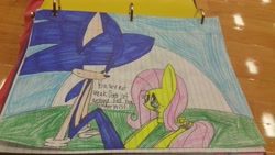 Size: 5312x2988 | Tagged: safe, artist:flowerswirlpower1182, fluttershy, pegasus, pony, crossover, sonic the hedgehog, sonic the hedgehog (series), traditional art