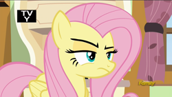 Size: 1920x1080 | Tagged: safe, screencap, fluttershy, pegasus, pony, flutter brutter, discovery family logo, fluttershy is not amused, solo, unamused