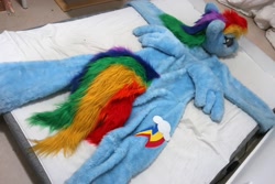 Size: 2400x1600 | Tagged: safe, derpibooru import, rainbow dash, bed, fursuit, irl, photo, ponysuit