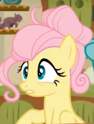 Size: 617x811 | Tagged: safe, screencap, fluttershy, zephyr breeze, pegasus, pony, flutter brutter, alternate hairstyle, cropped, female, mare, solo