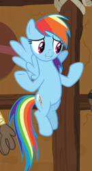 Size: 458x849 | Tagged: safe, derpibooru import, screencap, rainbow dash, pegasus, pony, yakity-sax, cropped, female, flying, mare, solo, spread wings, wings