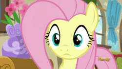 Size: 500x281 | Tagged: safe, screencap, fluttershy, pegasus, pony, flutter brutter, animated, discovery family logo, solo, unamused