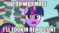 Size: 1280x720 | Tagged: safe, derpibooru import, screencap, twilight sparkle, twilight sparkle (alicorn), alicorn, pony, angry, female, mare, meme, solo, u wot m8, vulgar